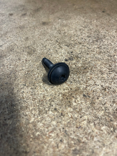 2004-2006 Dodge Ram SRT10 / Sport Front Fascia Hardware / Bolts / Screws