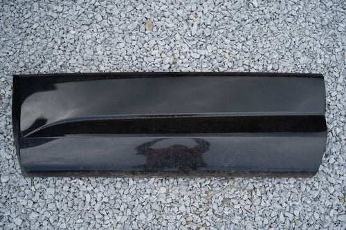 2004-2006 Dodge Ram SRT10 Regular Cab Door Cladding