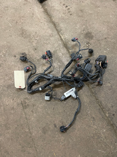 2004 Dodge Ram / Durango 5.7L Hemi Fuel Injection Harness